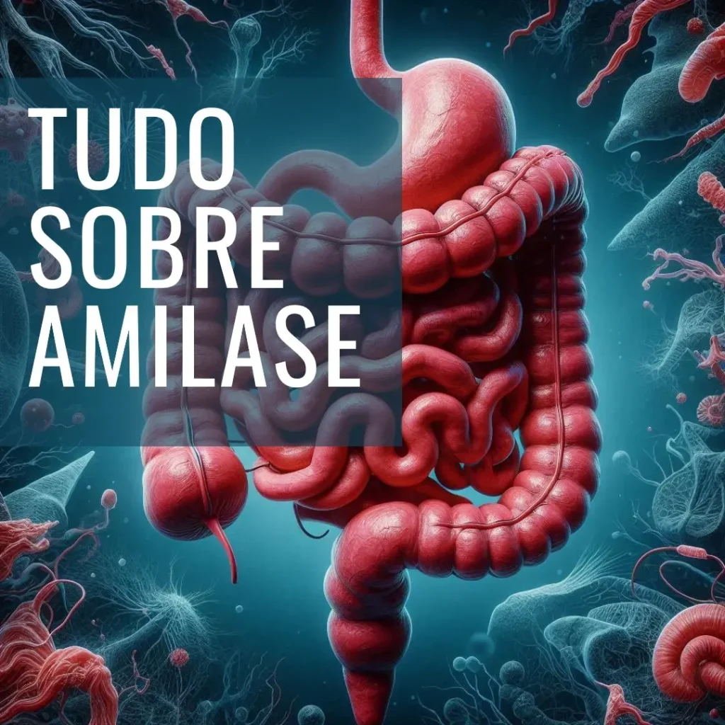 Amilase o que é: Tudo o Que Você Precisa Saber