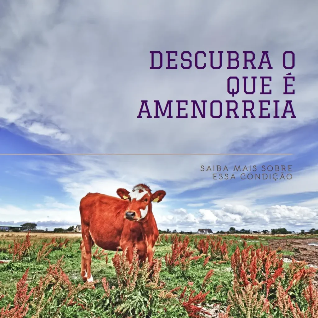 Entendendo o'que é amenorreia: Tudo que você precisa saber