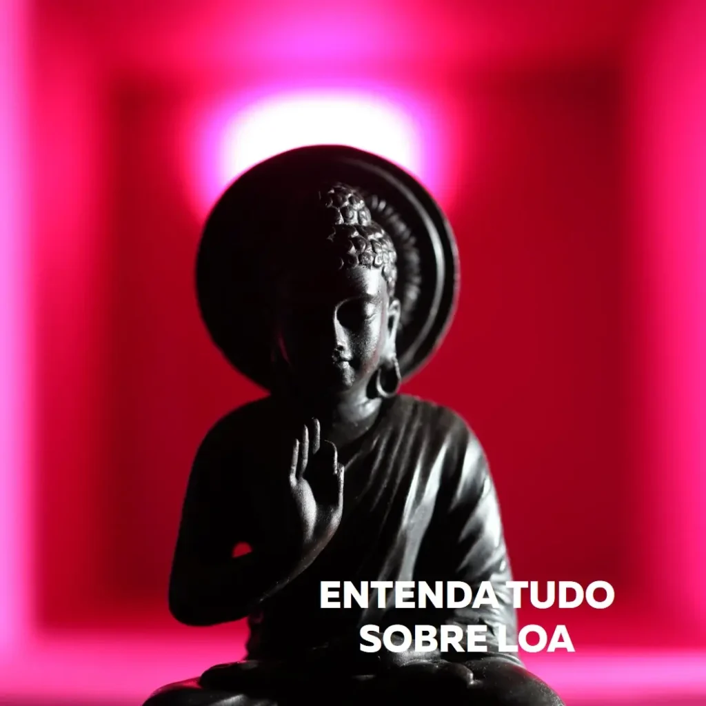 Loa o Que É: Entenda Tudo Sobre Esse Conceito