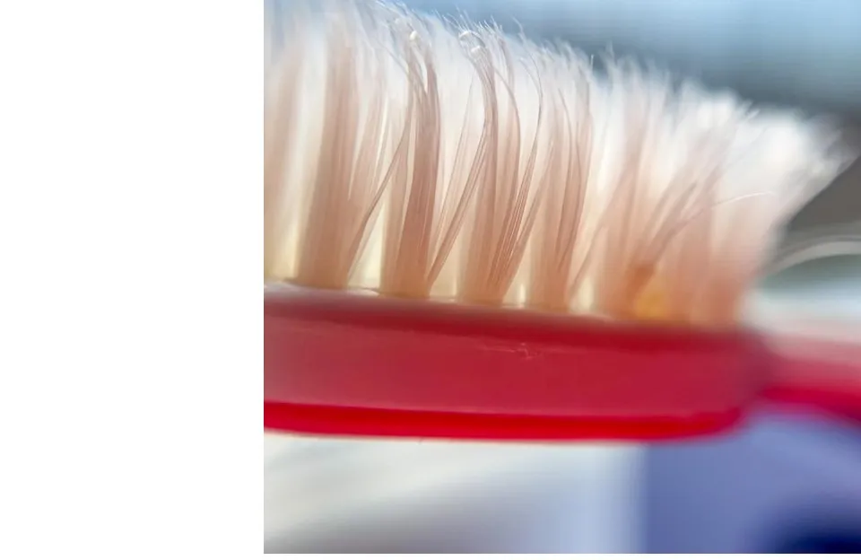 Estomatologia O Que É e Como Funciona na Saúde Bucal