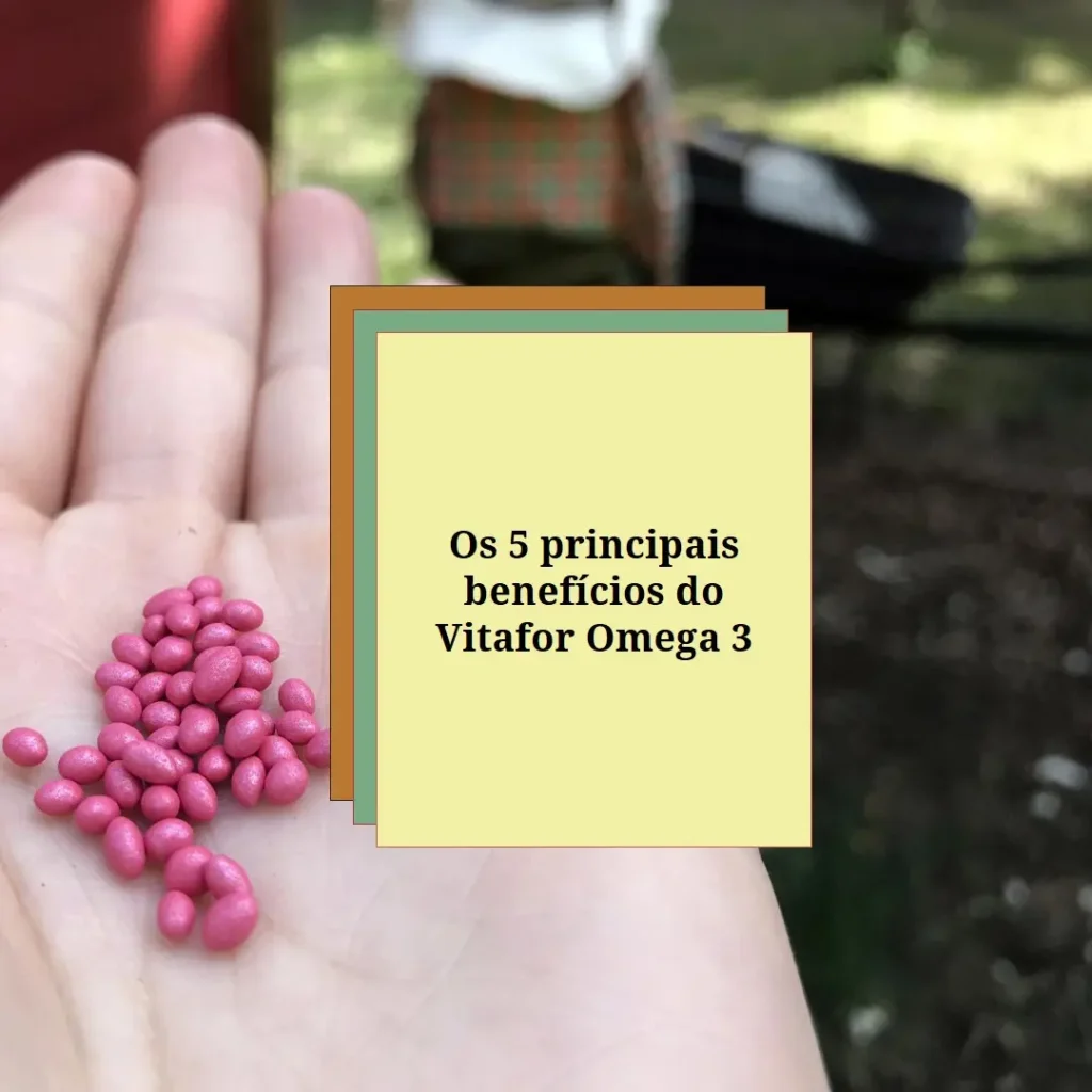 Principais Cinco Vitafor Omega 3