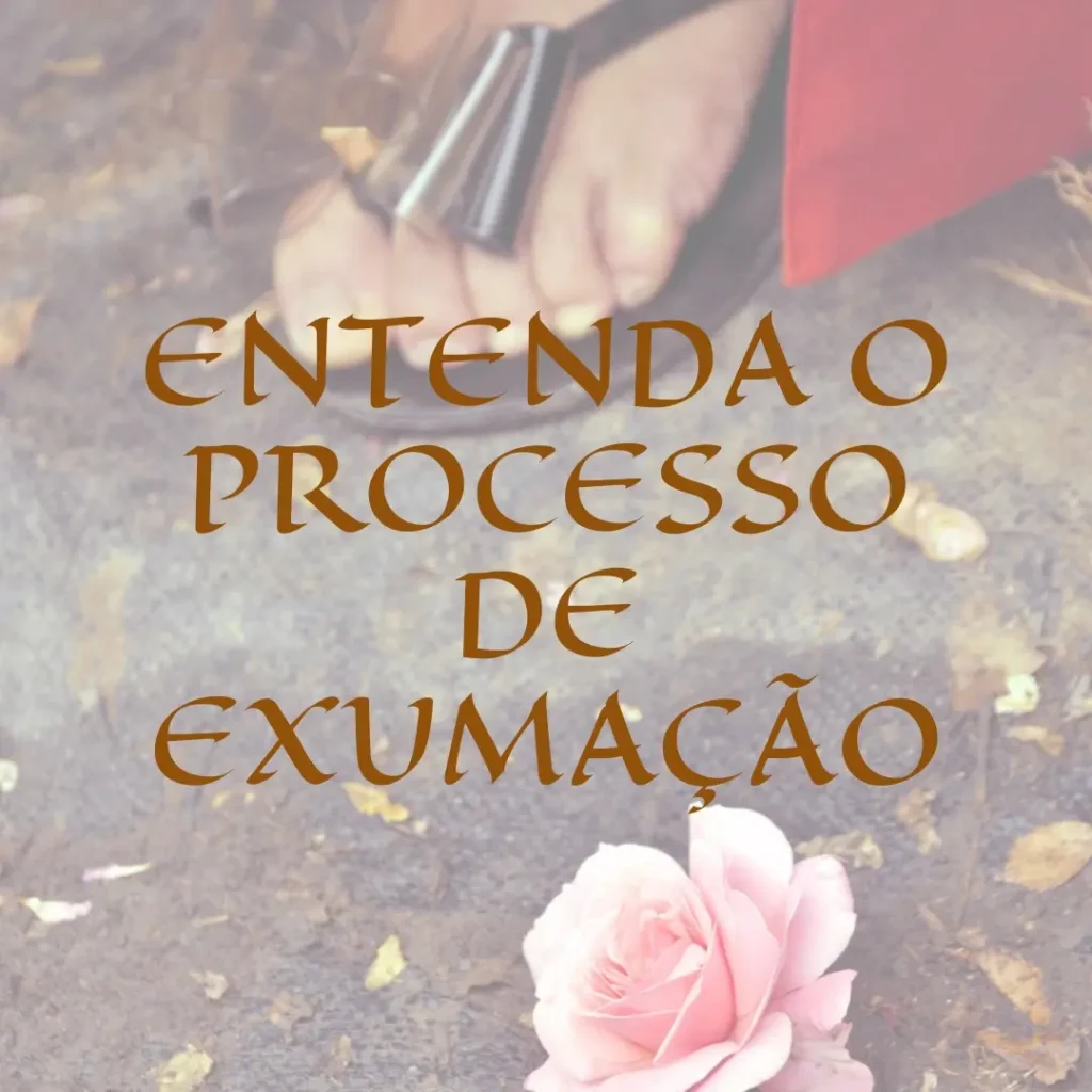 O Que é Exumação: Entenda Todo o Processo