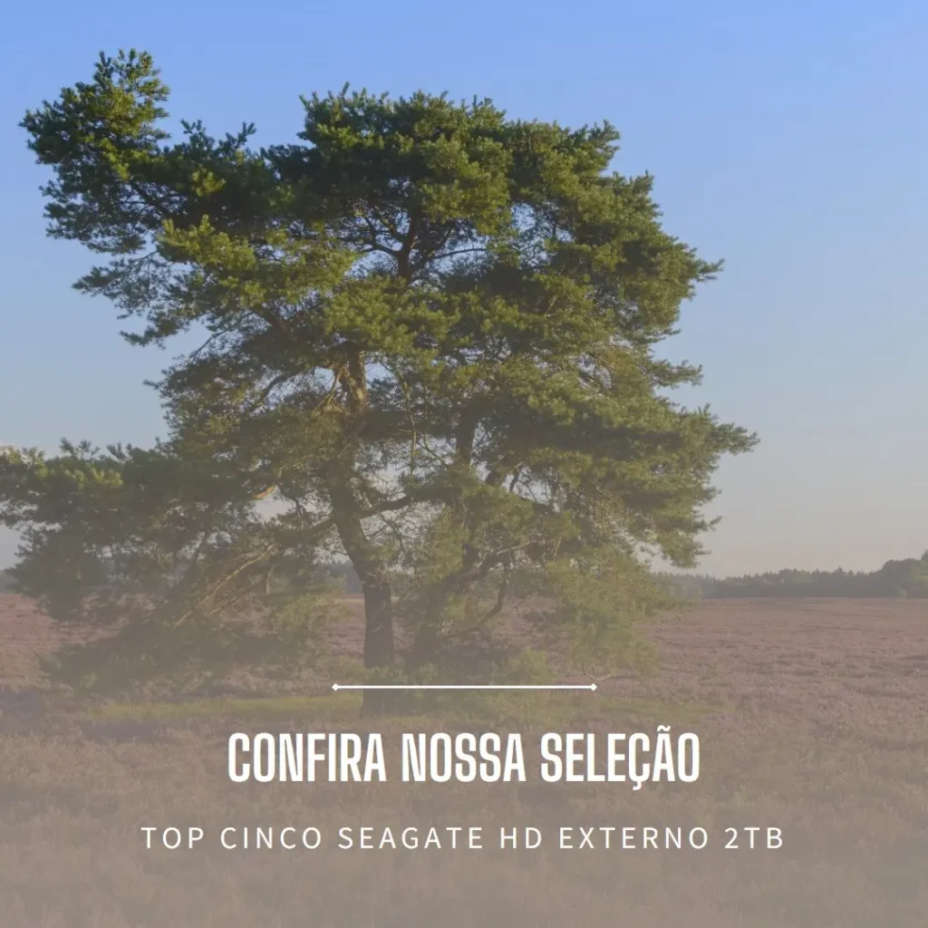Top Cinco  seagate HD externo 2TB
