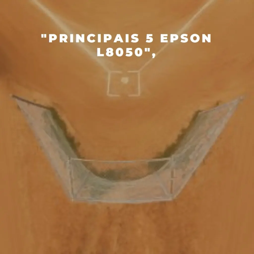 Principais 5 Epson l8050