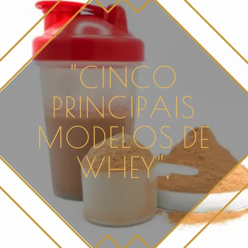 Cinco Principais Modelos de Whey hidrolisado