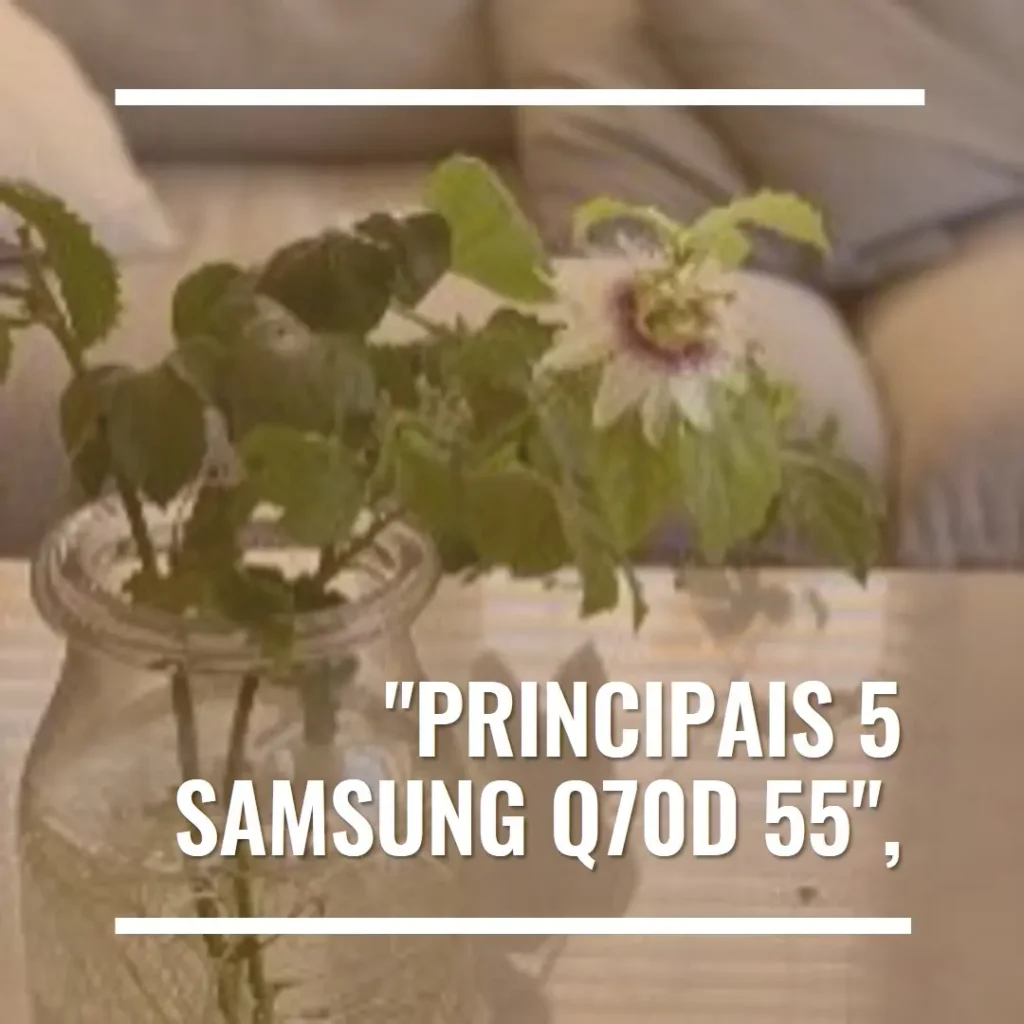 Principais 5 Samsung Q70d 55
