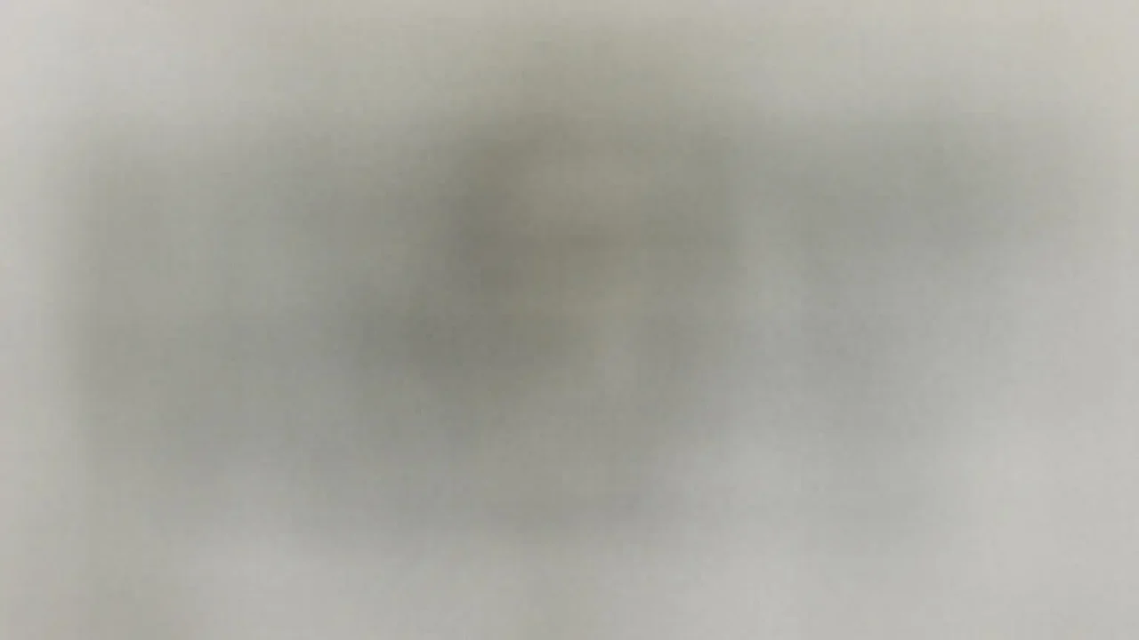 Principais Cinco garmin 55