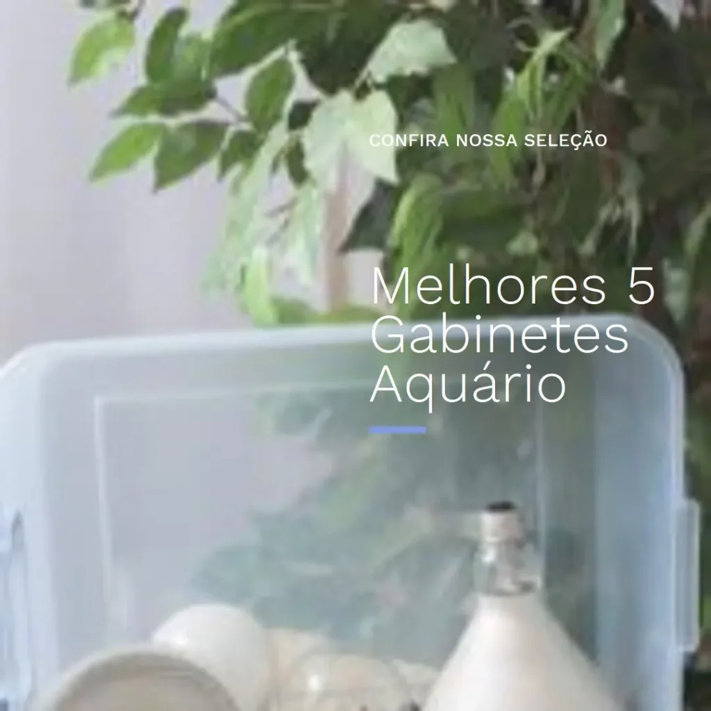 Melhores 5 Gabinete Aquario