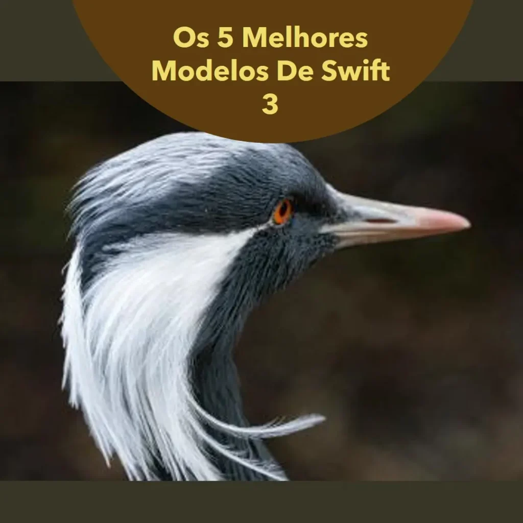 Os 5 Melhores Modelos de Swift 3 Acer