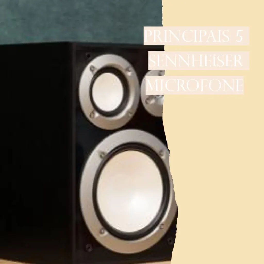 Principais 5 Sennheiser microfone