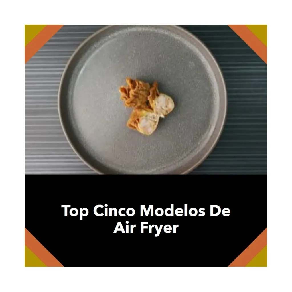 Top Cinco Modelos de Air Fryer Electrolux rita lobo