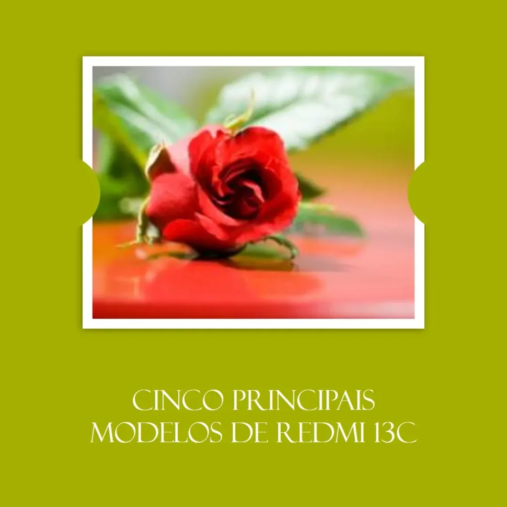 Cinco Principais Modelos de Redmi 13c 256gb