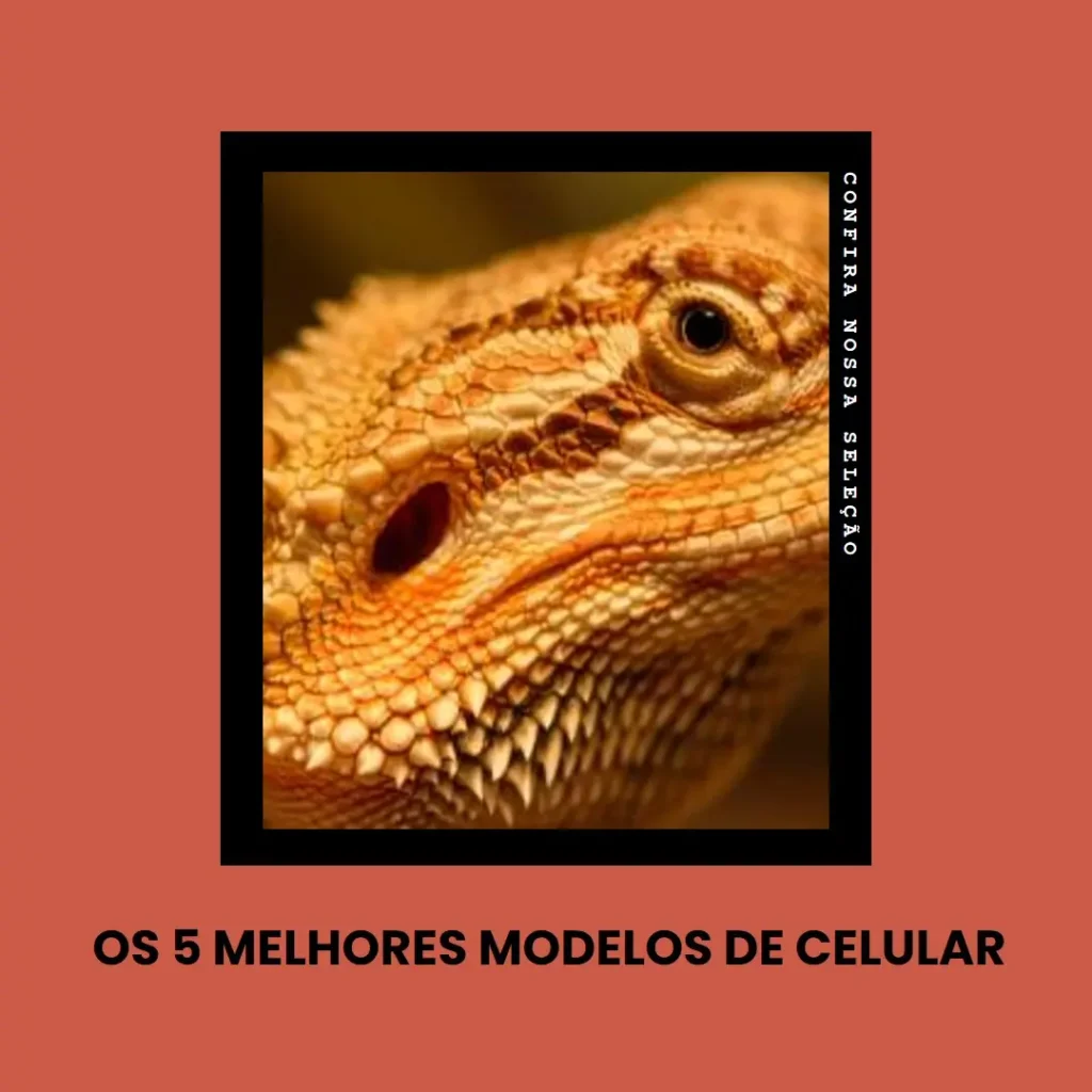 Os 5 Melhores Modelos de celular Asus Zenfone 10