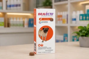 Bravecto 250, 500 ou 1000 mg: o peso do cão muda a escolha